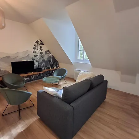 Appartement Spacieux Centre Parking Prive