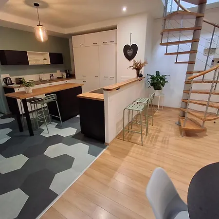 Spacieux Centre Parking Privé