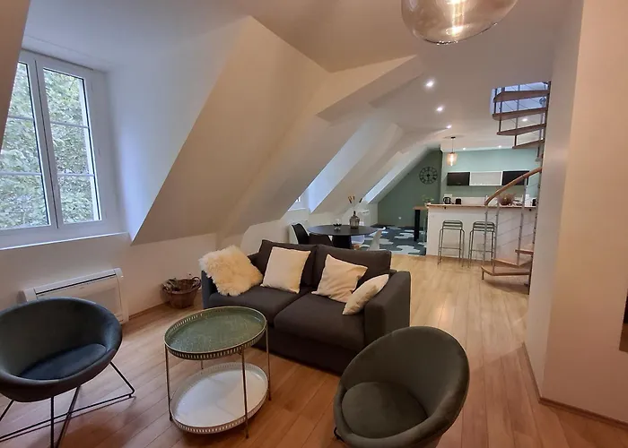 Spacieux Centre Parking Prive * Тур