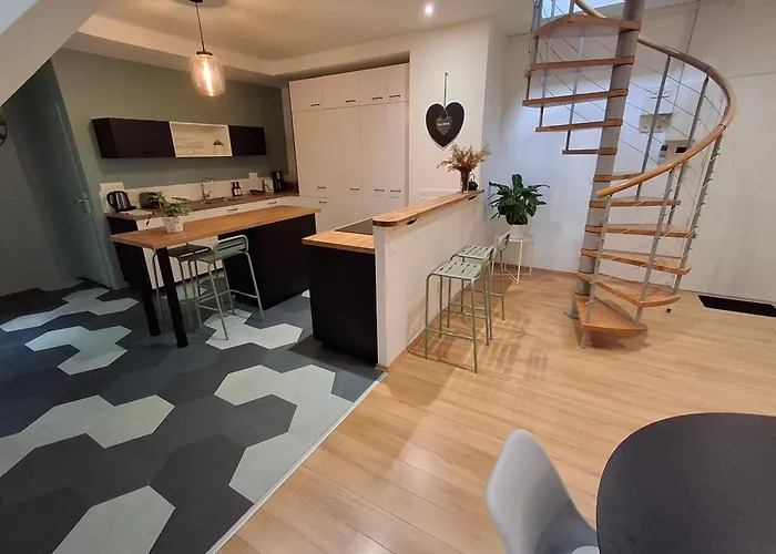 Spacieux Centre Parking Prive